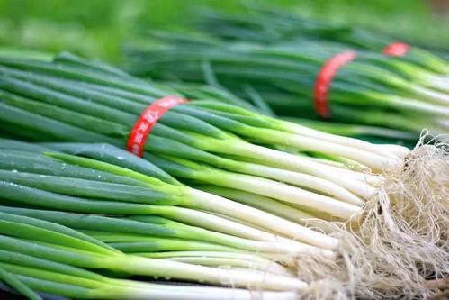 丁山吃大瓜,畅享夏日大瓜盛宴  第1张